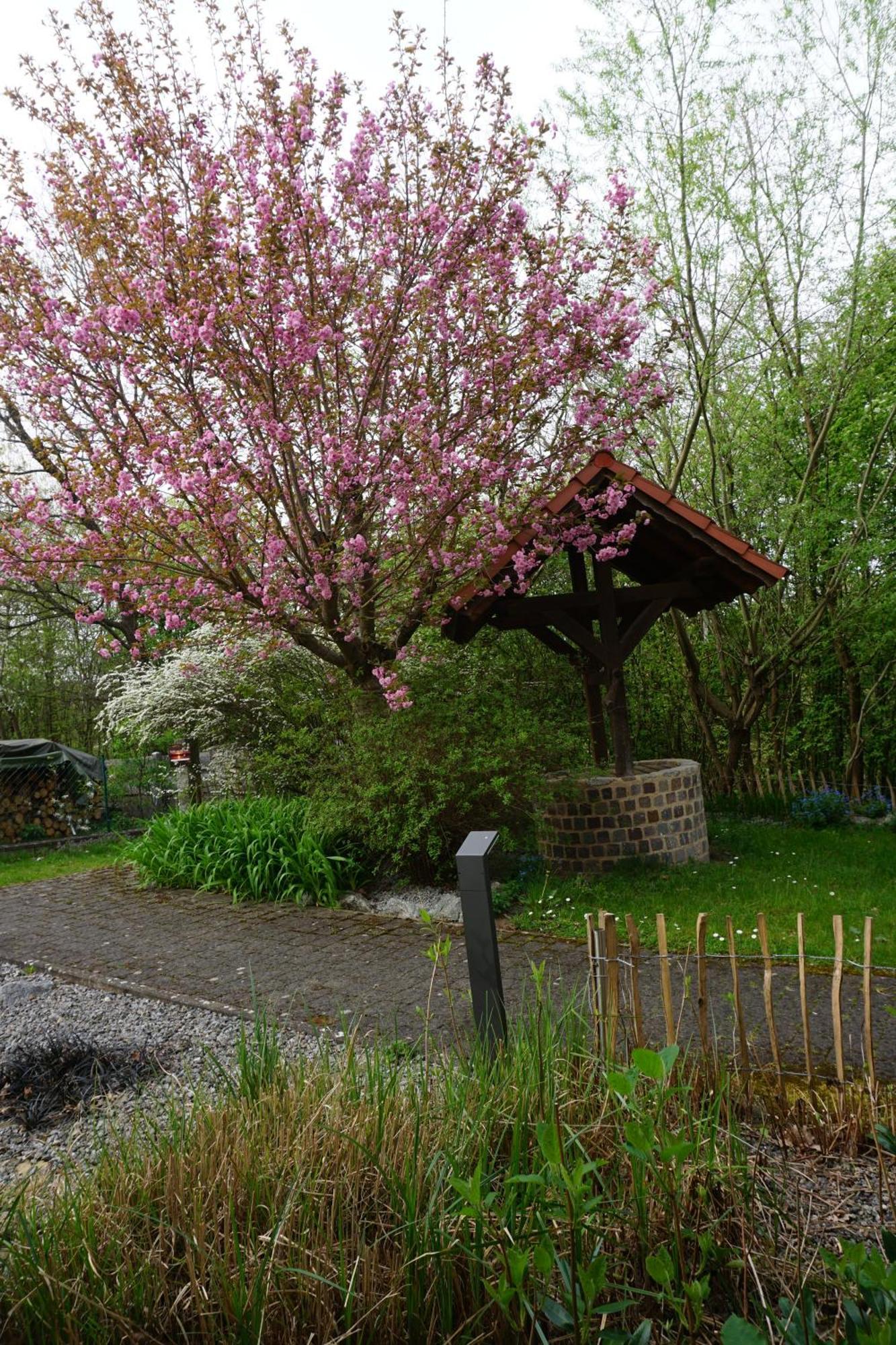 Fw An Der Roth Daire Roth  Dış mekan fotoğraf